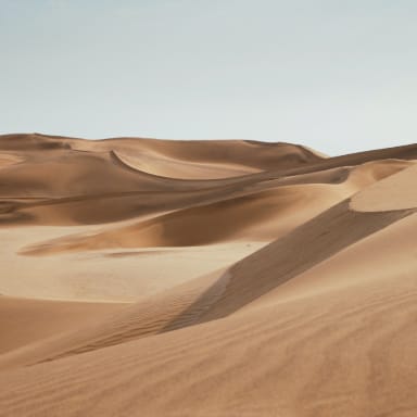 gallery 06.jpg